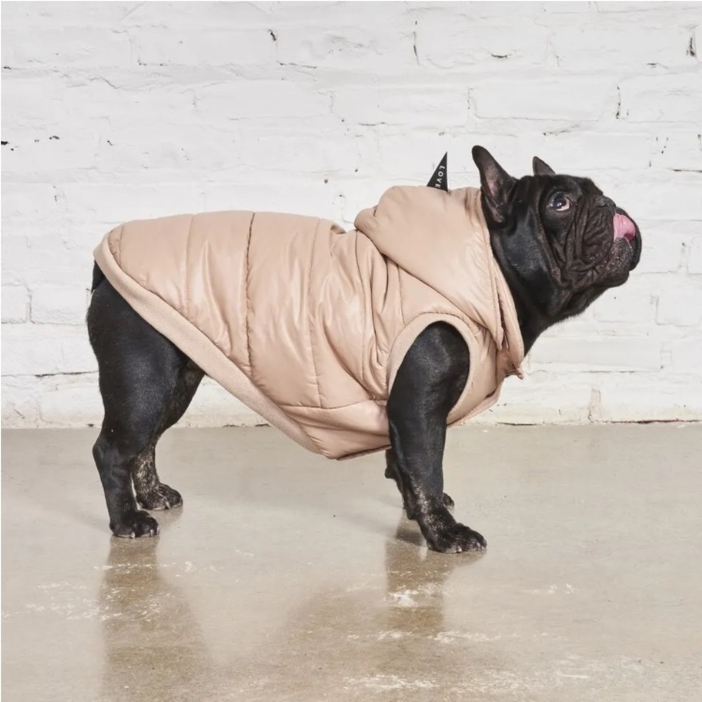 DKNY Dog Coat 🚨SOLD OUT ONLINE!🚨 - Picture 12 of 13